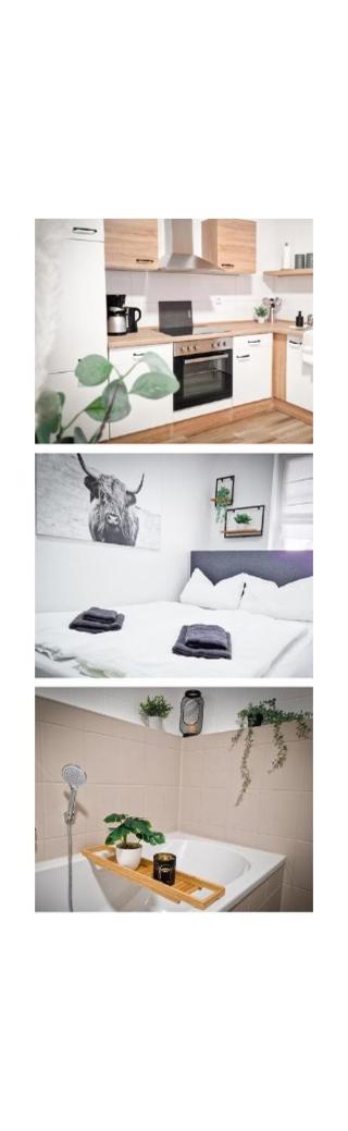 Grosszuegige Altstadtwohnung Lara Fuer 6 Personen Weißenfels Extérieur photo